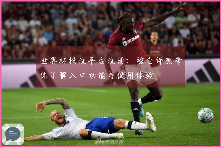 世界杯投注平台注册：综合评测带你了解入口功能与使用体验