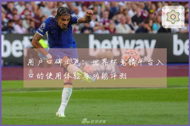 用户口碑汇总：世界杯竞猜平台入口的使用体验与功能评测