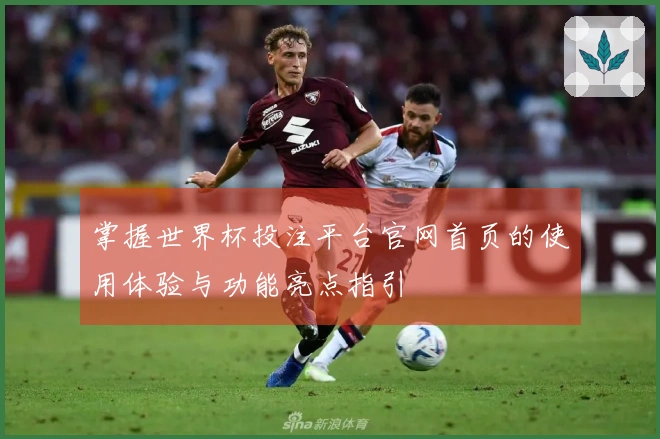 掌握世界杯投注平台官网首页的使用体验与功能亮点指引