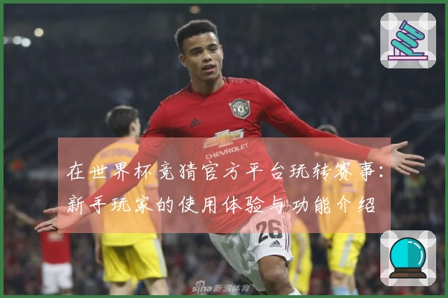 在世界杯竞猜官方平台玩转赛事：新手玩家的使用体验与功能介绍