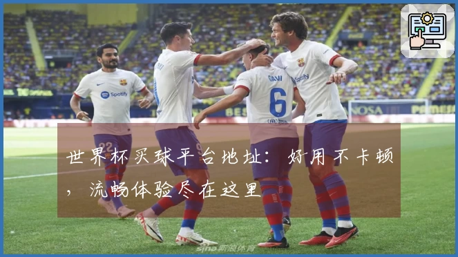 世界杯买球平台地址：好用不卡顿，流畅体验尽在这里