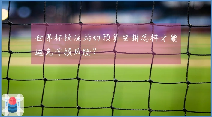 世界杯投注站的预算安排怎样才能避免亏损风险？