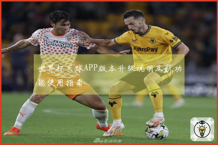 世界杯买球APP版本升级说明及新功能使用指南