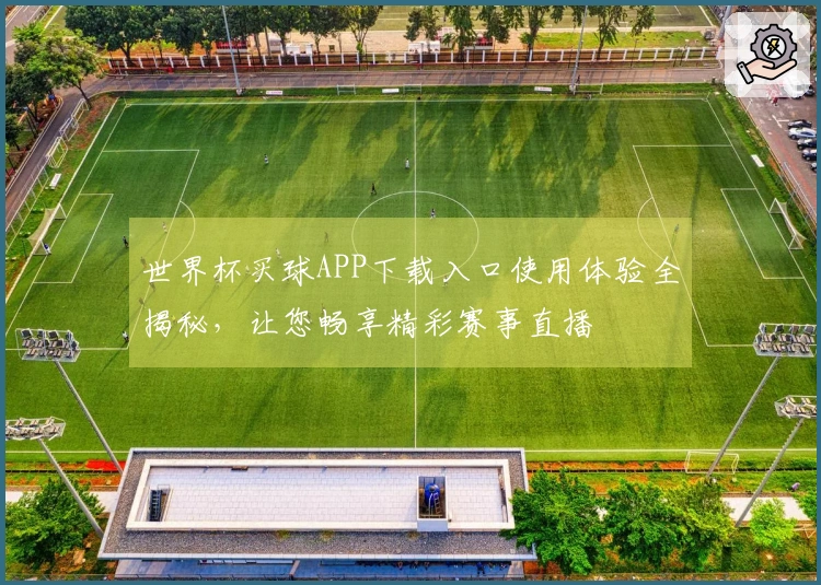 世界杯买球APP下载入口使用体验全揭秘，让您畅享精彩赛事直播