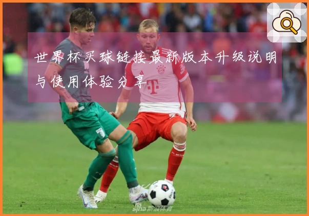 世界杯买球链接最新版本升级说明与使用体验分享
