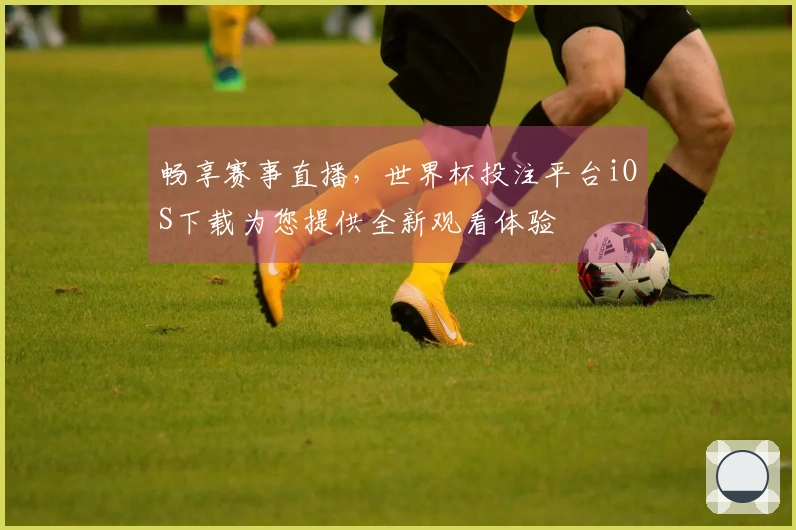 畅享赛事直播，世界杯投注平台iOS下载为您提供全新观看体验