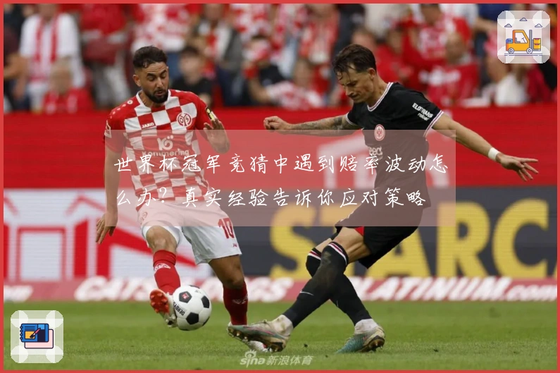 世界杯冠军竞猜中遇到赔率波动怎么办？真实经验告诉你应对策略