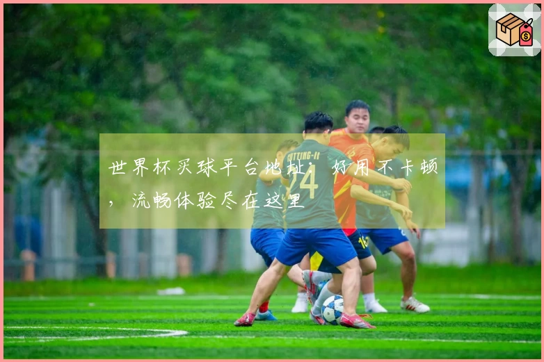 世界杯买球平台地址：好用不卡顿，流畅体验尽在这里